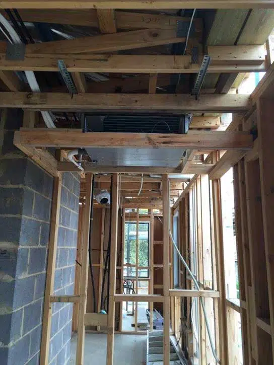 domestic hawthorn project